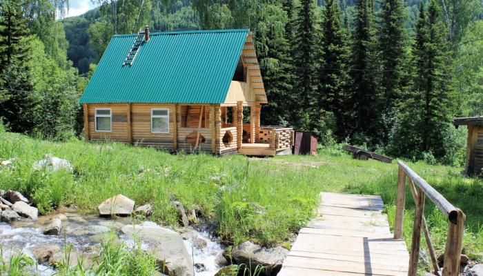 Бразилиялық кисканың суреті